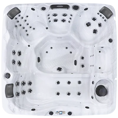 Avalon EC-867L hot tubs for sale in Santa Clara